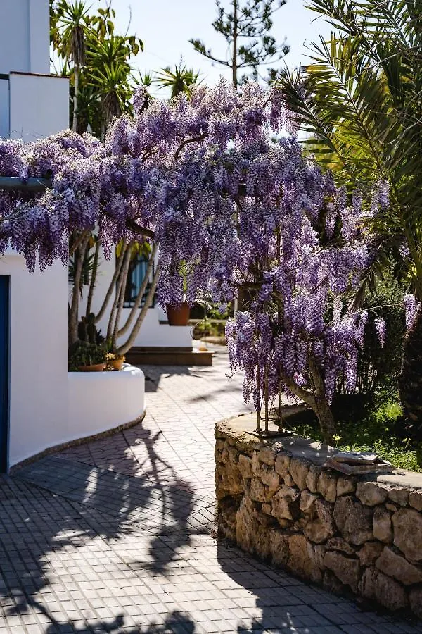 Villa Carvi San Antonio   San Antonio (Ibiza)