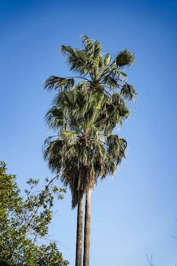 Villa Carvi Sant Antoni de Portmany 0*,